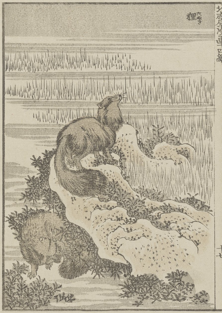 Borz, c. 1840 (fanyomat) alkotó: Katsushika Hokusai