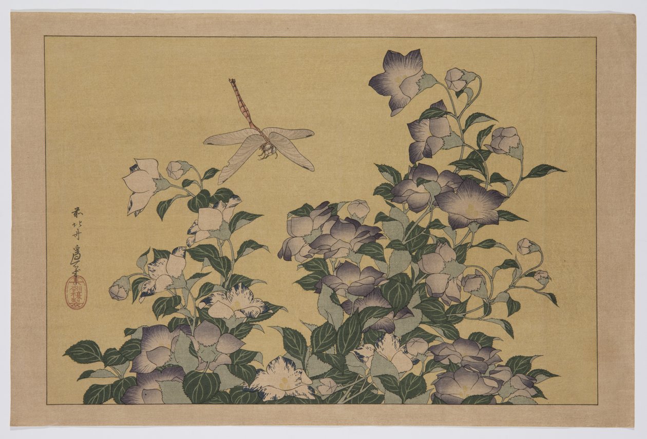 Harangvirág és szitakötő (színes fatömbnyomat) alkotó: Katsushika Hokusai