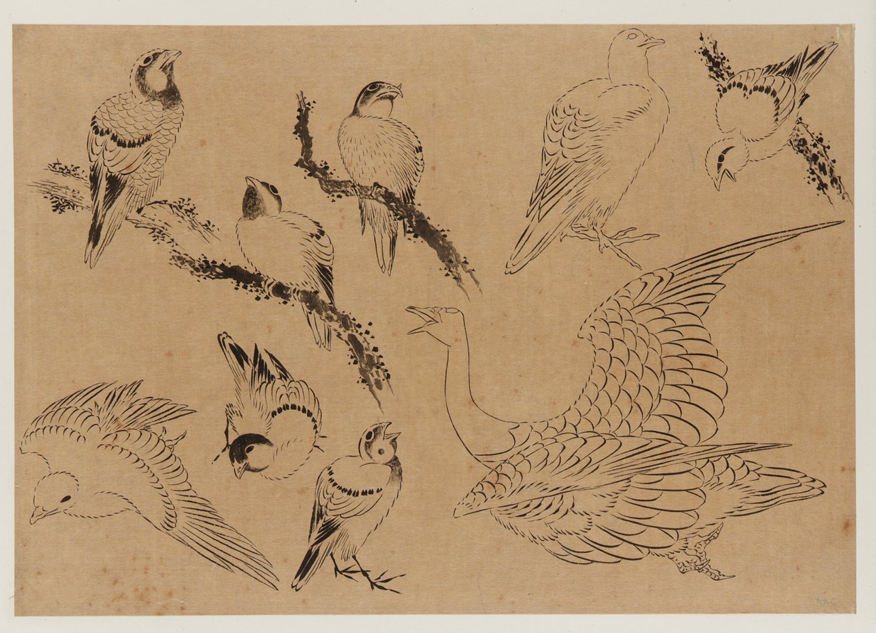 Madarak, Edo-korszak, 18. század vége-19. század eleje. alkotó: Katsushika Hokusai