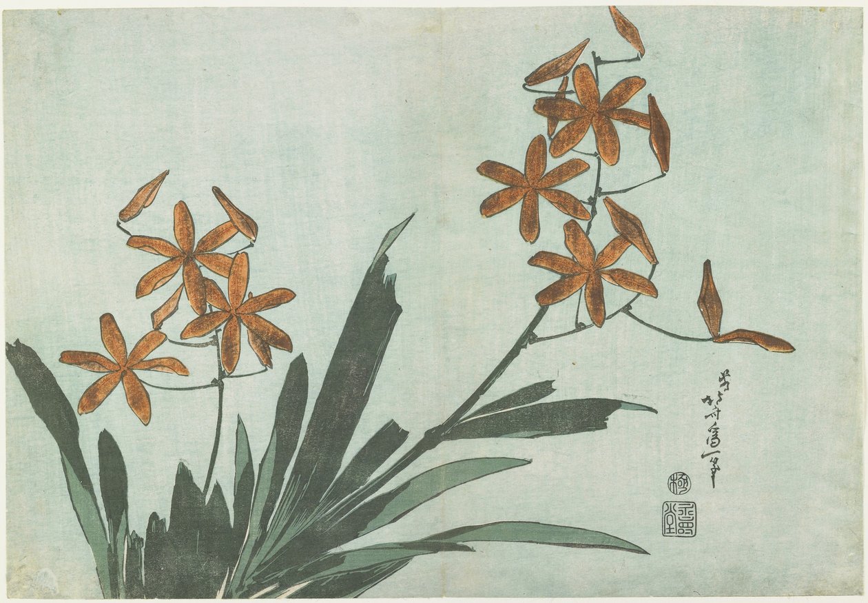 Szederliliomok, c. 1832 alkotó: Katsushika Hokusai