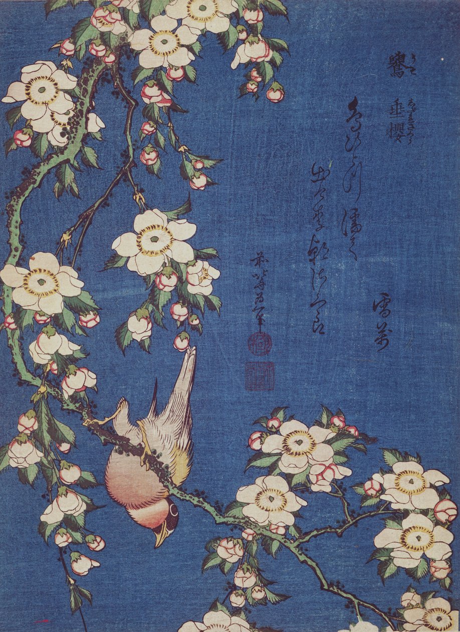 Süvöltő és síró cseresznyefa, kocsma. 1834 körül (színes fatömbnyomat) alkotó: Katsushika Hokusai