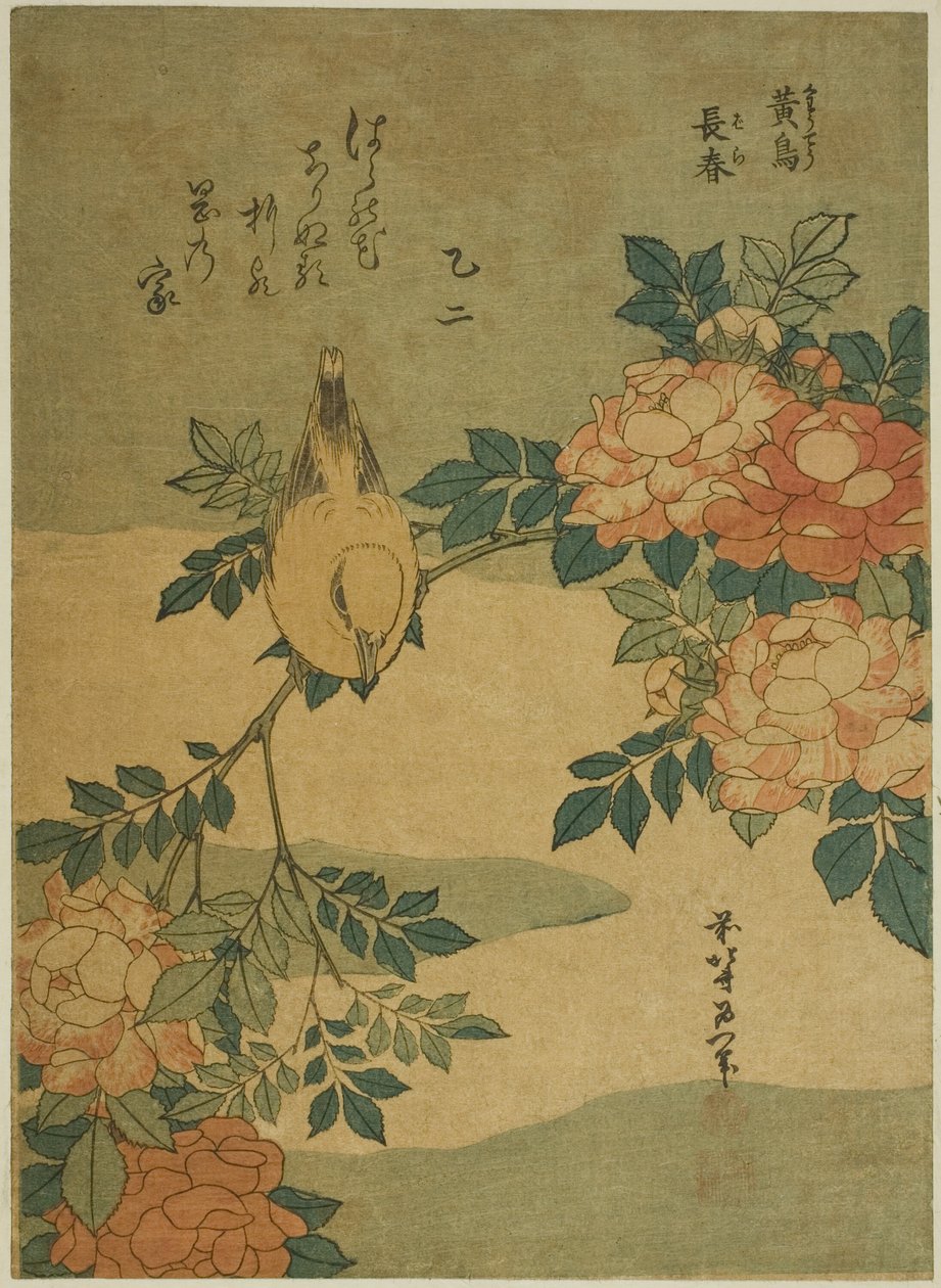 Bokorrigó és rózsa (Kocho, bara), egy névtelen virág- és madársorozatból alkotó: Katsushika Hokusai