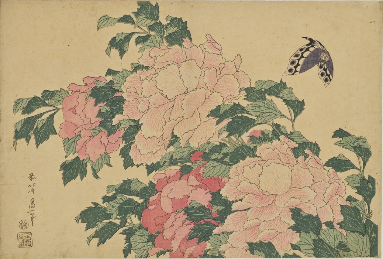Pillangók és pünkösdi rózsák alkotó: Katsushika Hokusai