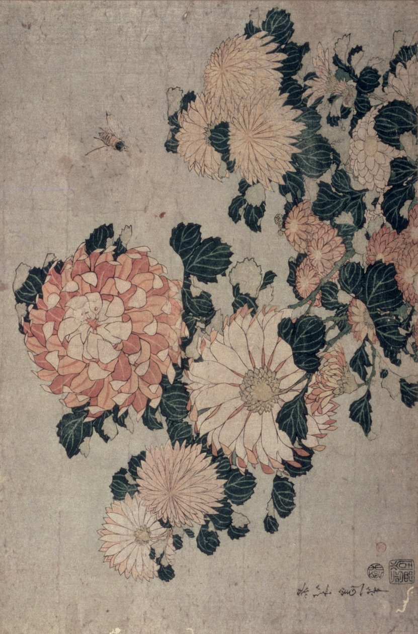 Krizantém (színes fatömb) alkotó: Katsushika Hokusai