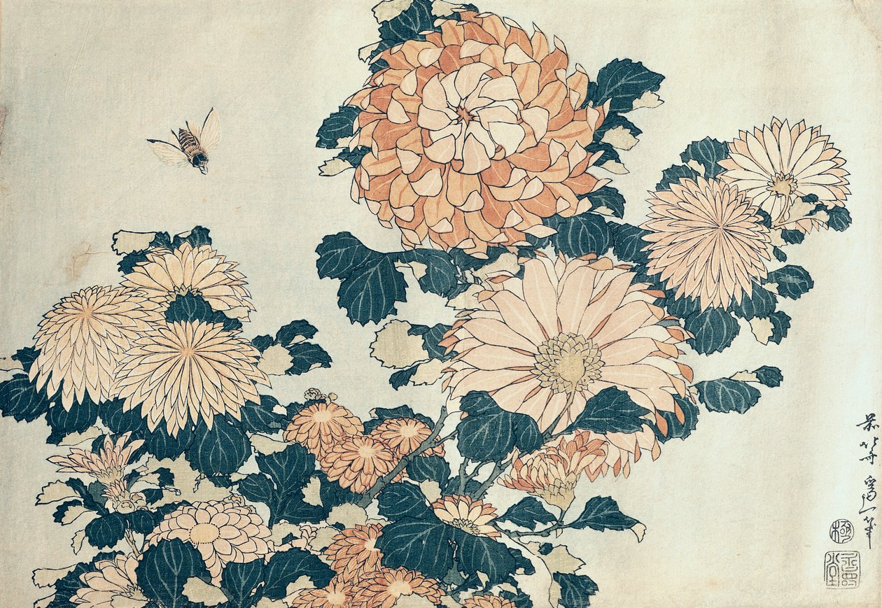 Krizantém (színes fatömbnyomat) alkotó: Katsushika Hokusai