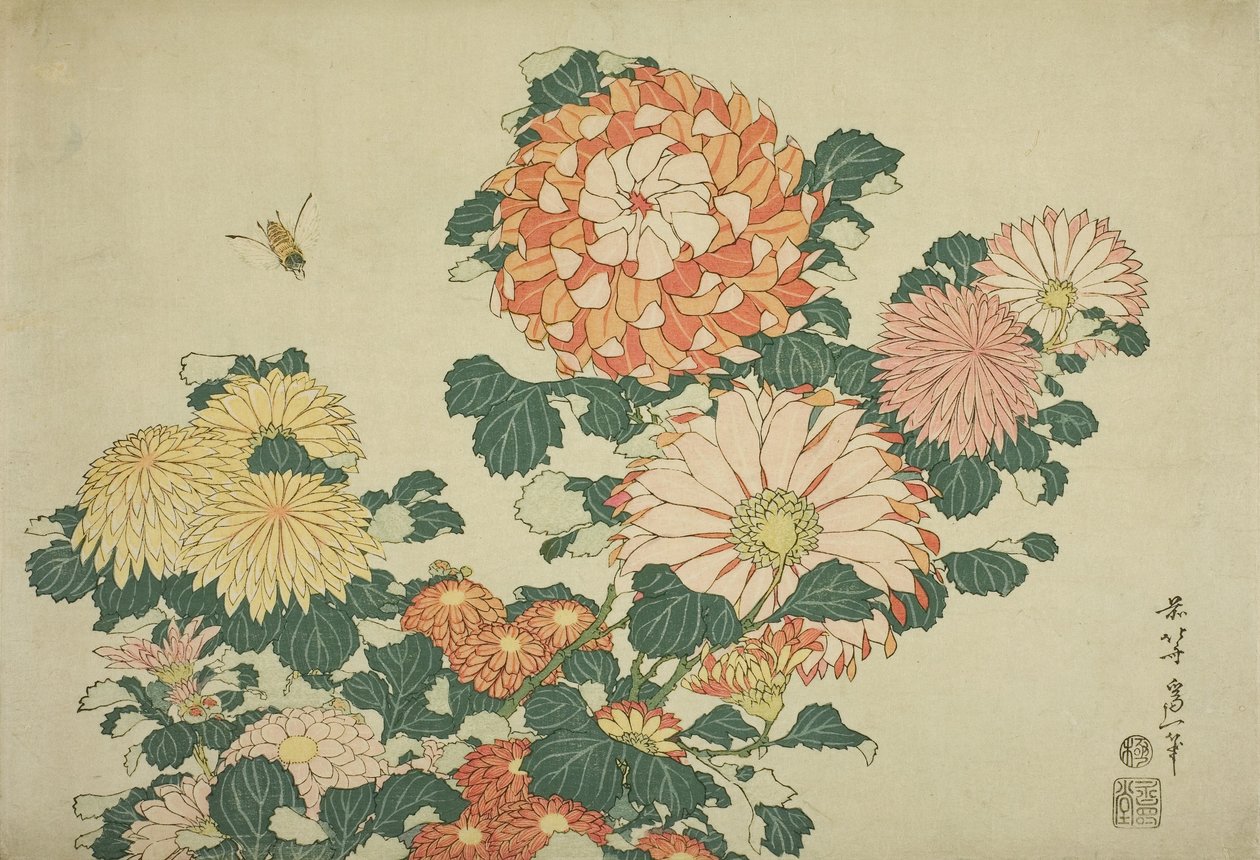 Krizantém és méhecske, a nagy virágok című, cím nélküli sorozatból, 1833-34 alkotó: Katsushika Hokusai