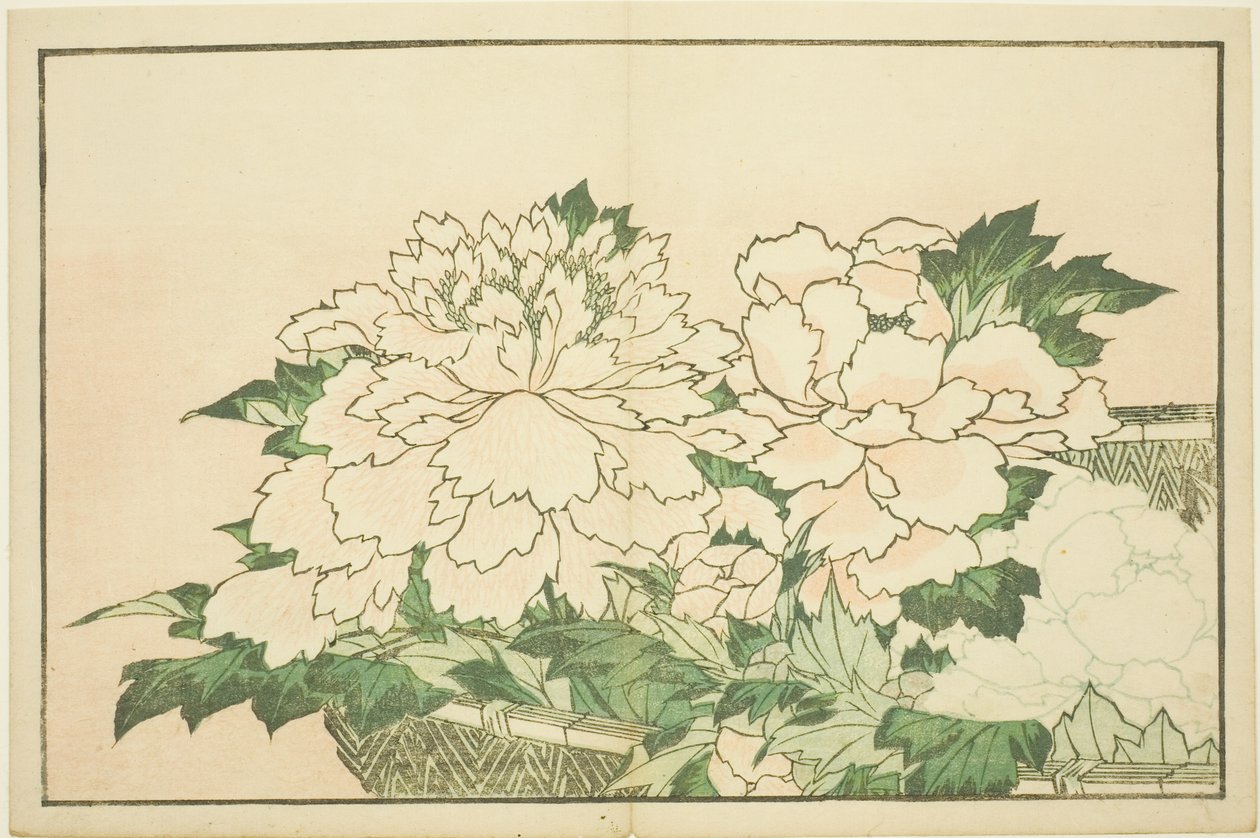 Krizantémok egy kosárban, Hokusai valósághű festményeinek képeskönyvéből (Hokusai shashin gafu) alkotó: Katsushika Hokusai