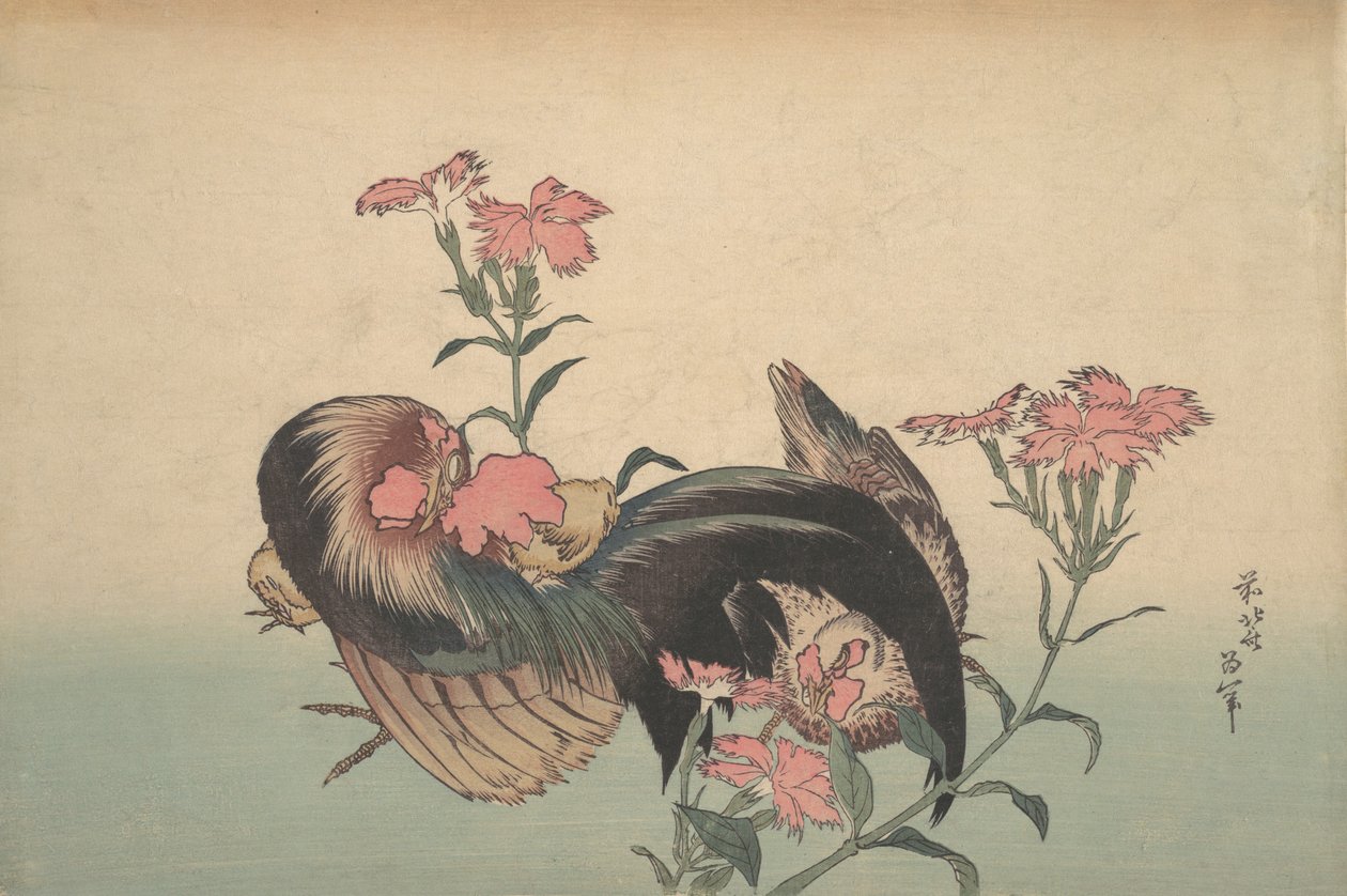 Kakas, Tyúk és Nadeshiko Dianthus Superbus. alkotó: Katsushika Hokusai