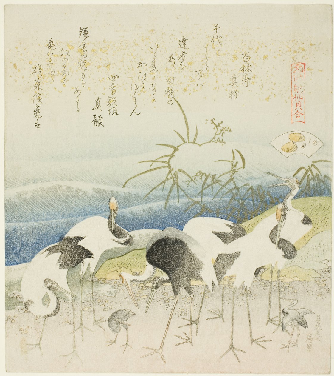 Cranes by the Shore, illusztráció a The Leg Shell (Ashigai) számára, a „Megfelelő játék Genroku-kori vershéjjal (Genroku kasen kai awase)” sorozatból. alkotó: Katsushika Hokusai