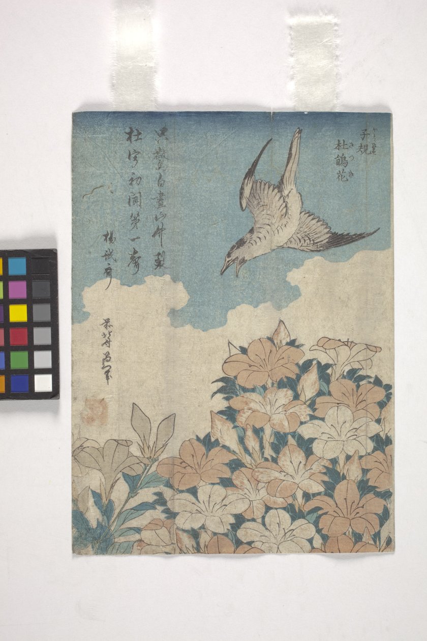 Kakukk és azálea (színes fametszet) alkotó: Katsushika Hokusai