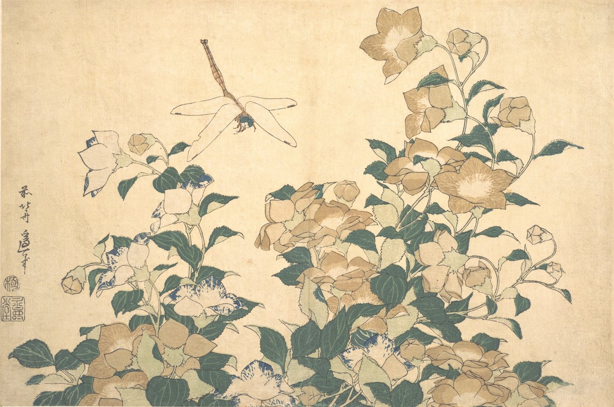 Szitakötő és harangvirág, 1820-as évek vége. alkotó: Katsushika Hokusai