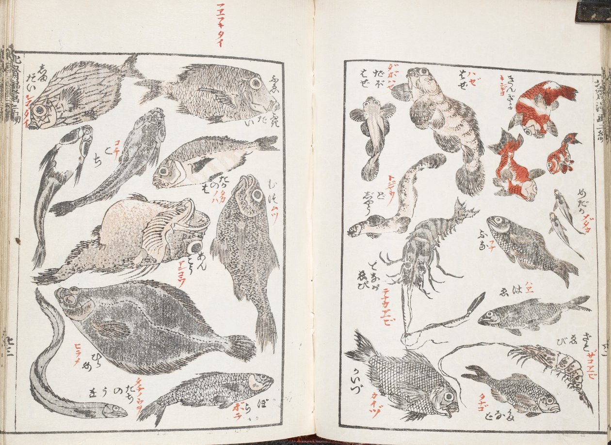 Halak és tengeri lények alkotó: Katsushika Hokusai