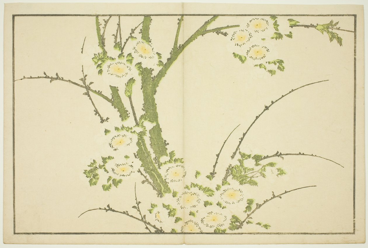 Virágok, Hokusai valósághű festményeinek képeskönyvéből (Hokusai shashin gafu) alkotó: Katsushika Hokusai