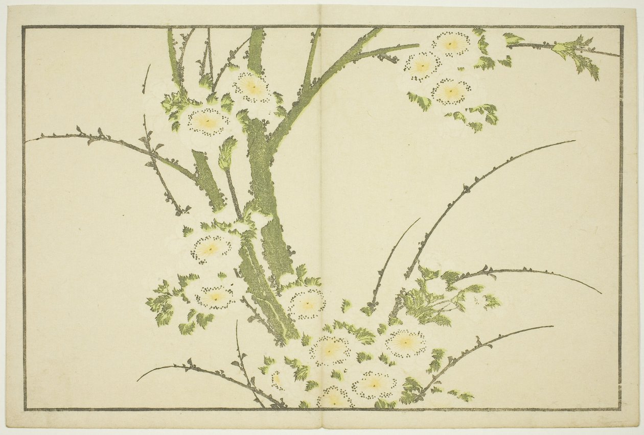 Virágok, Hokusai realista festményeinek képeskönyvéből (Hokusai shashin gafu), 1814 körül (színes fametszet (albumlap)) alkotó: Katsushika Hokusai