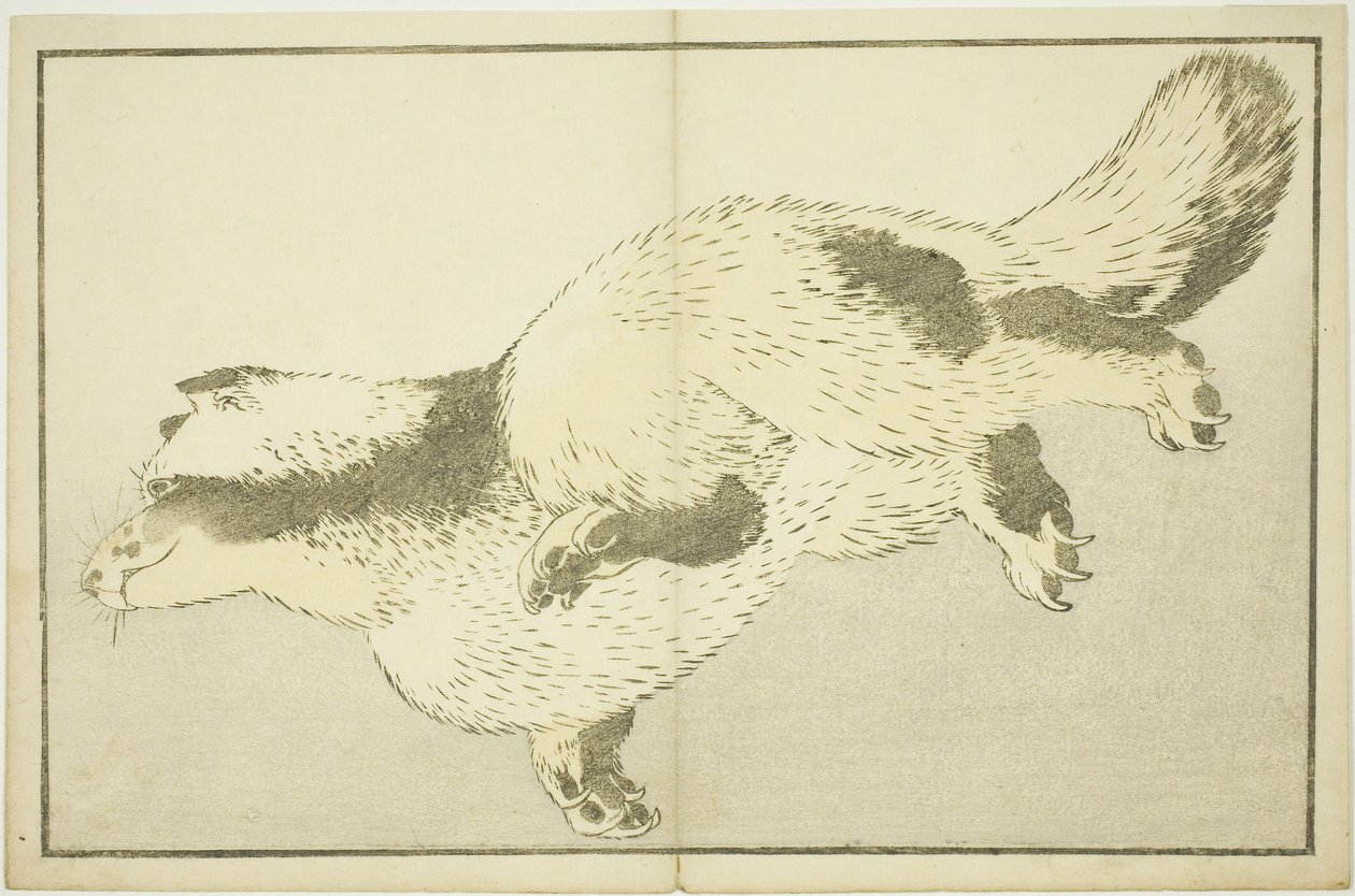 Fox, Hokusai valósághű festményeinek képeskönyvéből (Hokusai shashin gafu) alkotó: Katsushika Hokusai