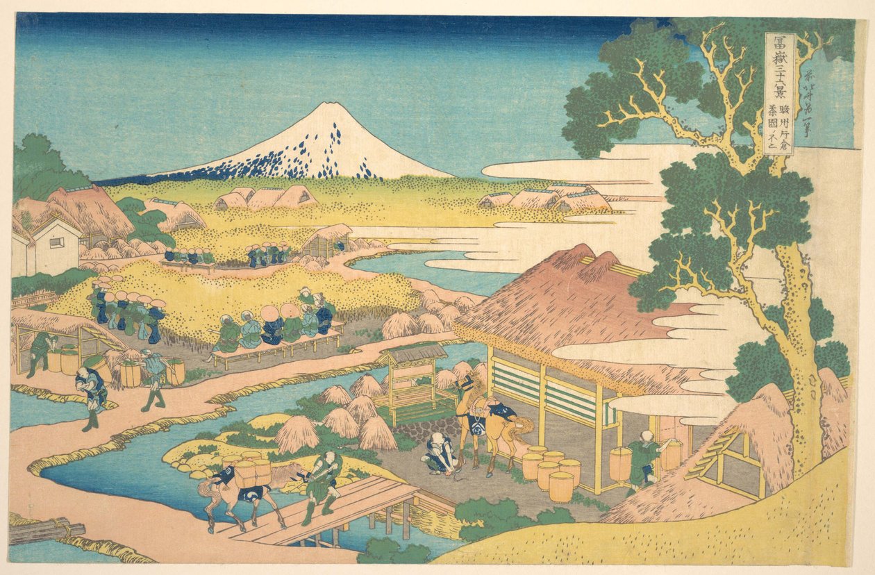 A Fuji-hegy a Suruga-i Katakura-i teaföldekről (Sunshū Katakura chaen no Fuji), a „A Fuji-hegy harminchat látképe” (Fugaku sanjūrokkei) című sorozatból alkotó: Katsushika Hokusai