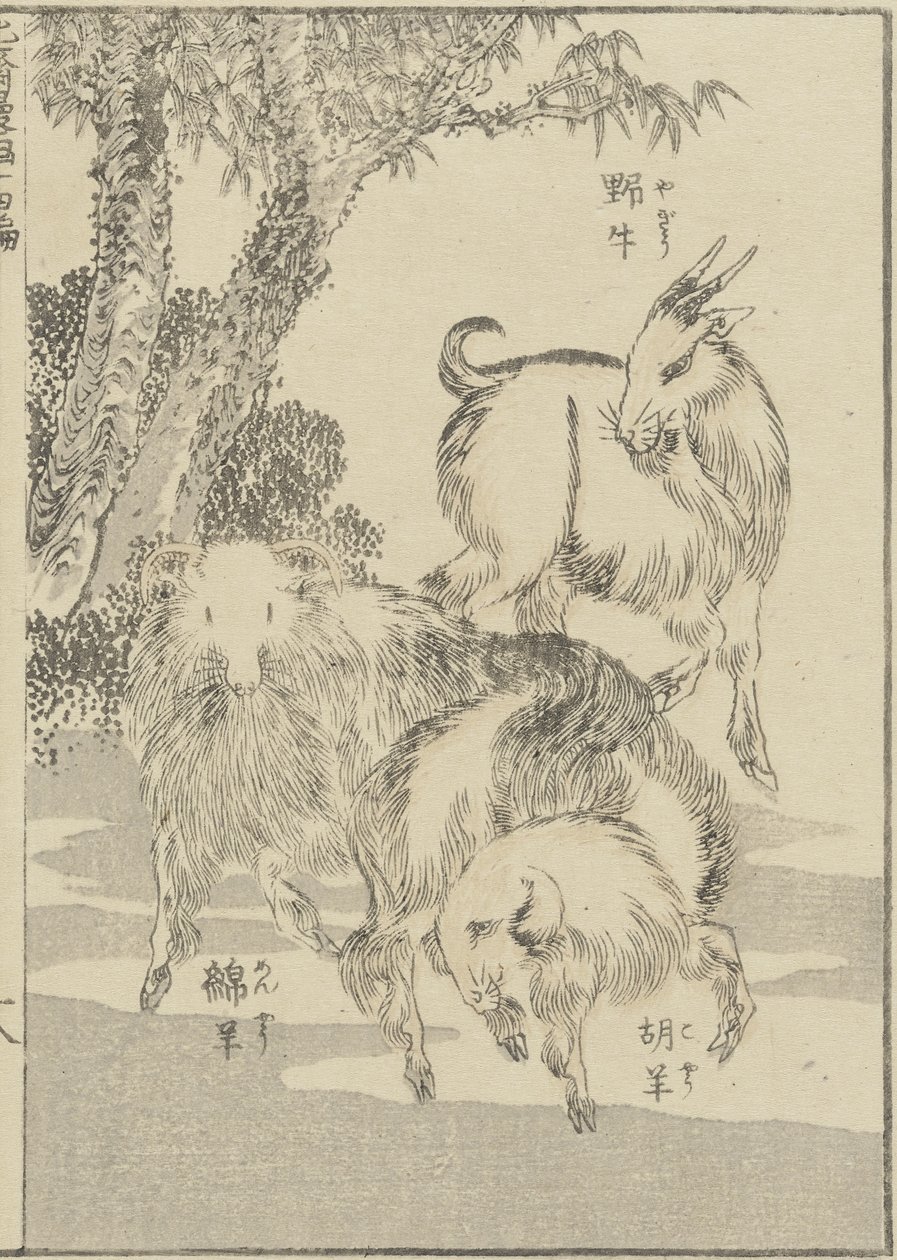 Kecske, c. 1840 (fanyomat) alkotó: Katsushika Hokusai