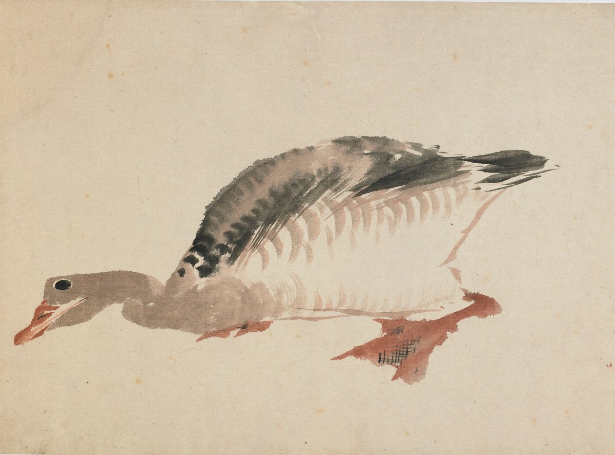 Liba, 18. század vége-19. század eleje. alkotó: Katsushika Hokusai