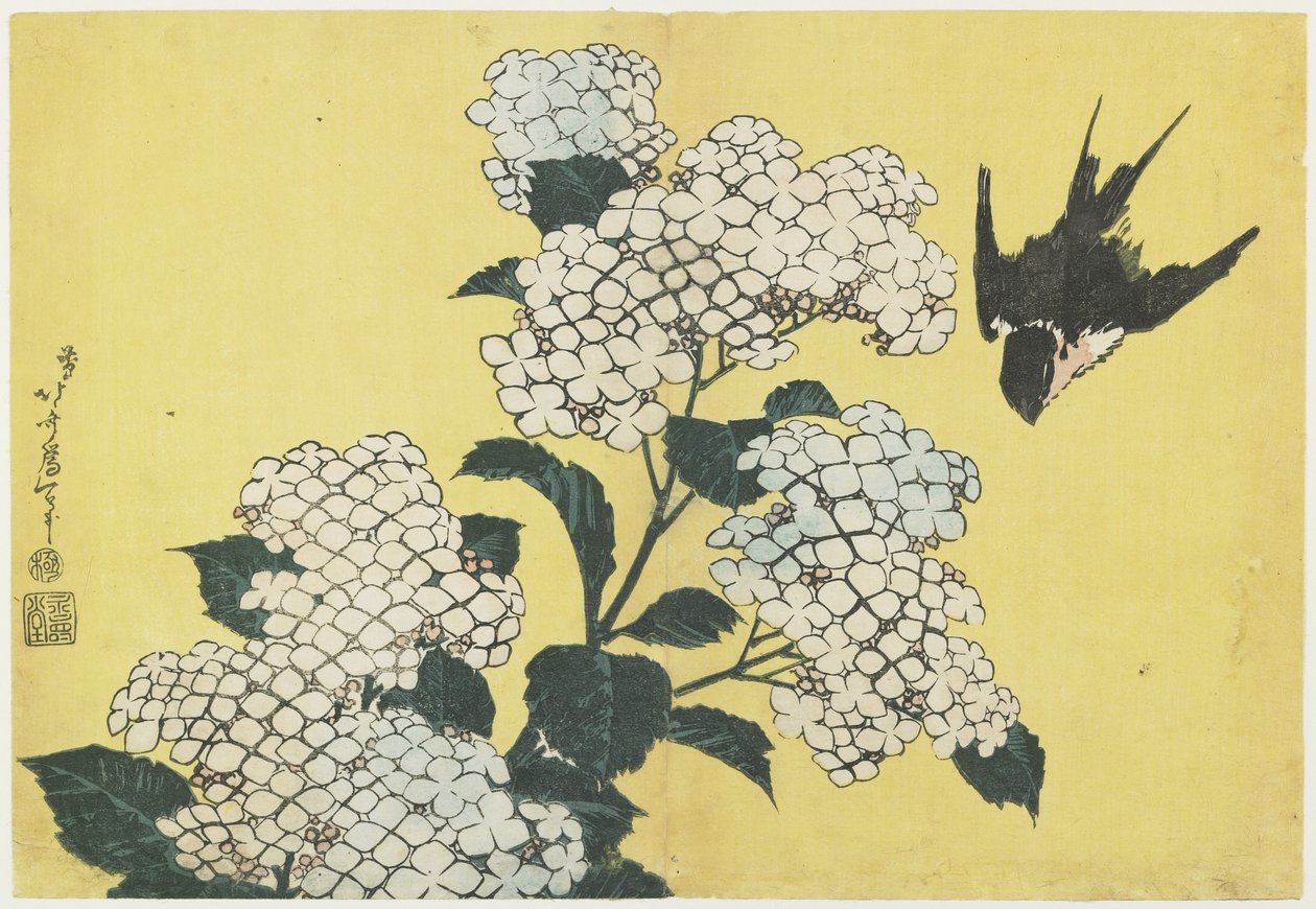 Hortenzia és fecske, 1832 körül alkotó: Katsushika Hokusai