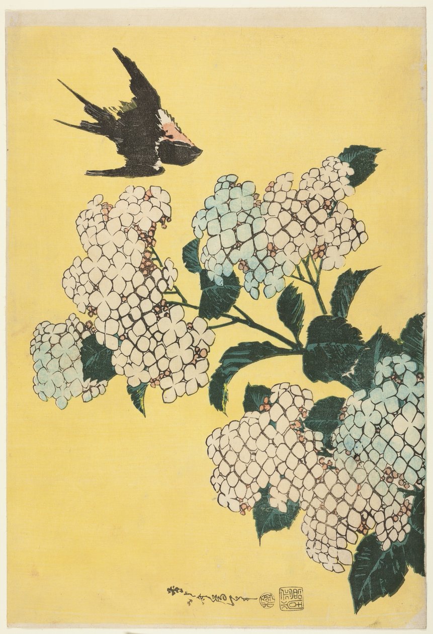 Hortenzia és fecske, nagy virágok cím nélküli sorozatából alkotó: Katsushika Hokusai