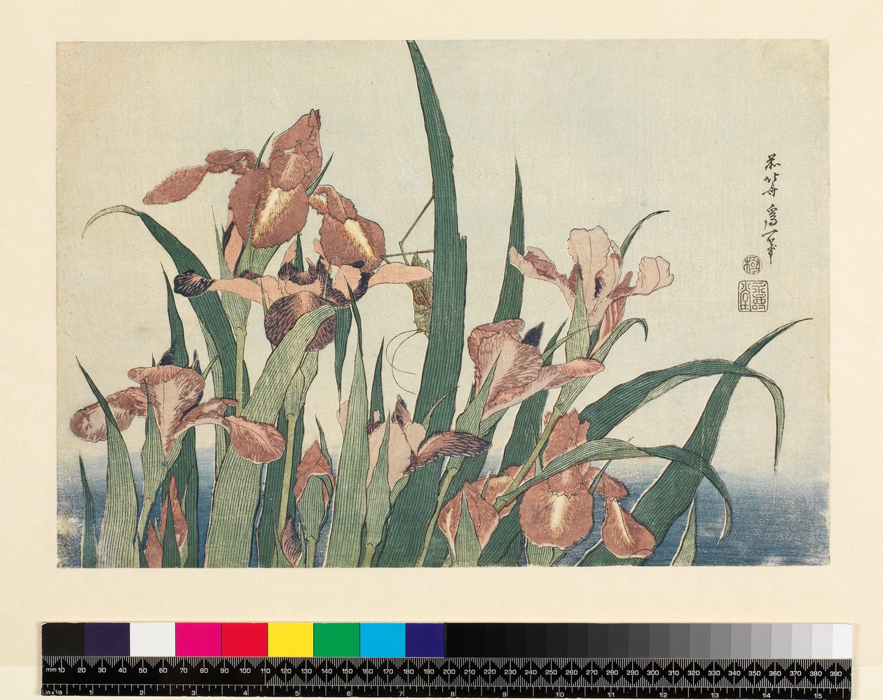 Íriszek és szöcske, kocsma. szerző: Nishimura Eijudo, 1832 körül, (yoko-e – vízszintes formátum, színes fatömbnyomat) alkotó: Katsushika Hokusai