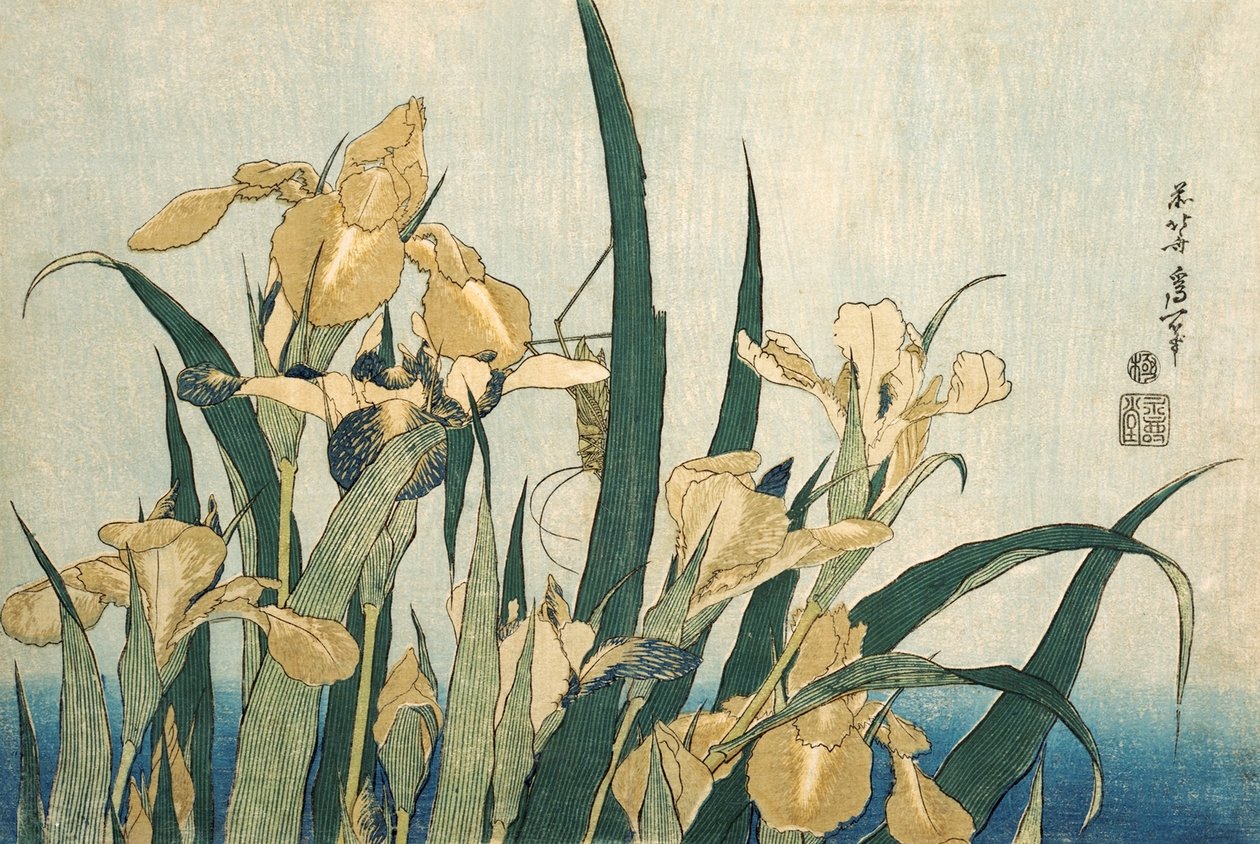 Íriszek egy szöcskével, pub.1830 alkotó: Katsushika Hokusai