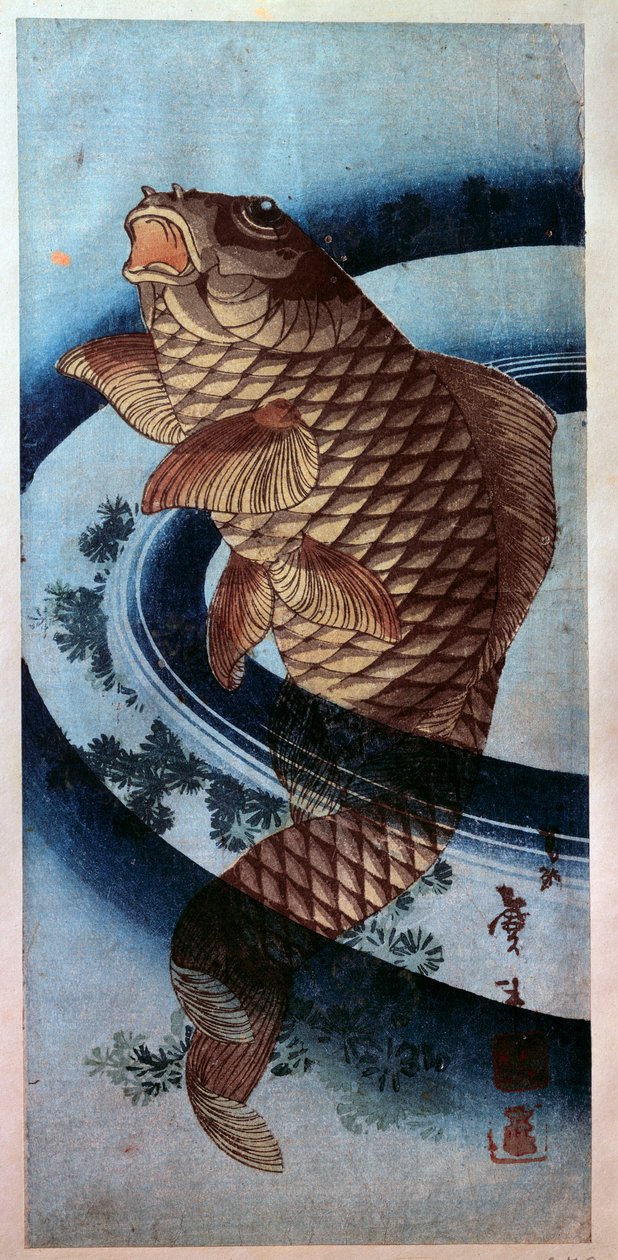 Japanese art: a carp. print by Katsushika Hokusai (1760-1849) 19th century Paris, Musee Guimet alkotó: Katsushika Hokusai