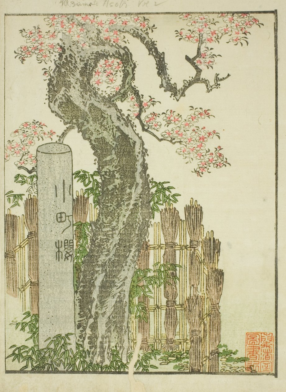 Komachi cseresznyefa (Komachi zakura), a "Keleti mulatságok képeskönyve (Ehon Azuma asobi)" című illusztrált könyvből alkotó: Katsushika Hokusai