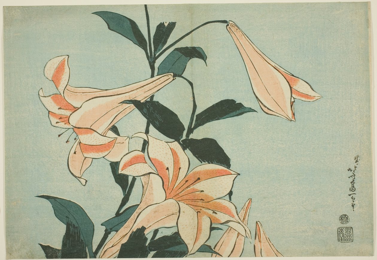 Liliomok, a nagy virágok cím nélküli sorozatából alkotó: Katsushika Hokusai