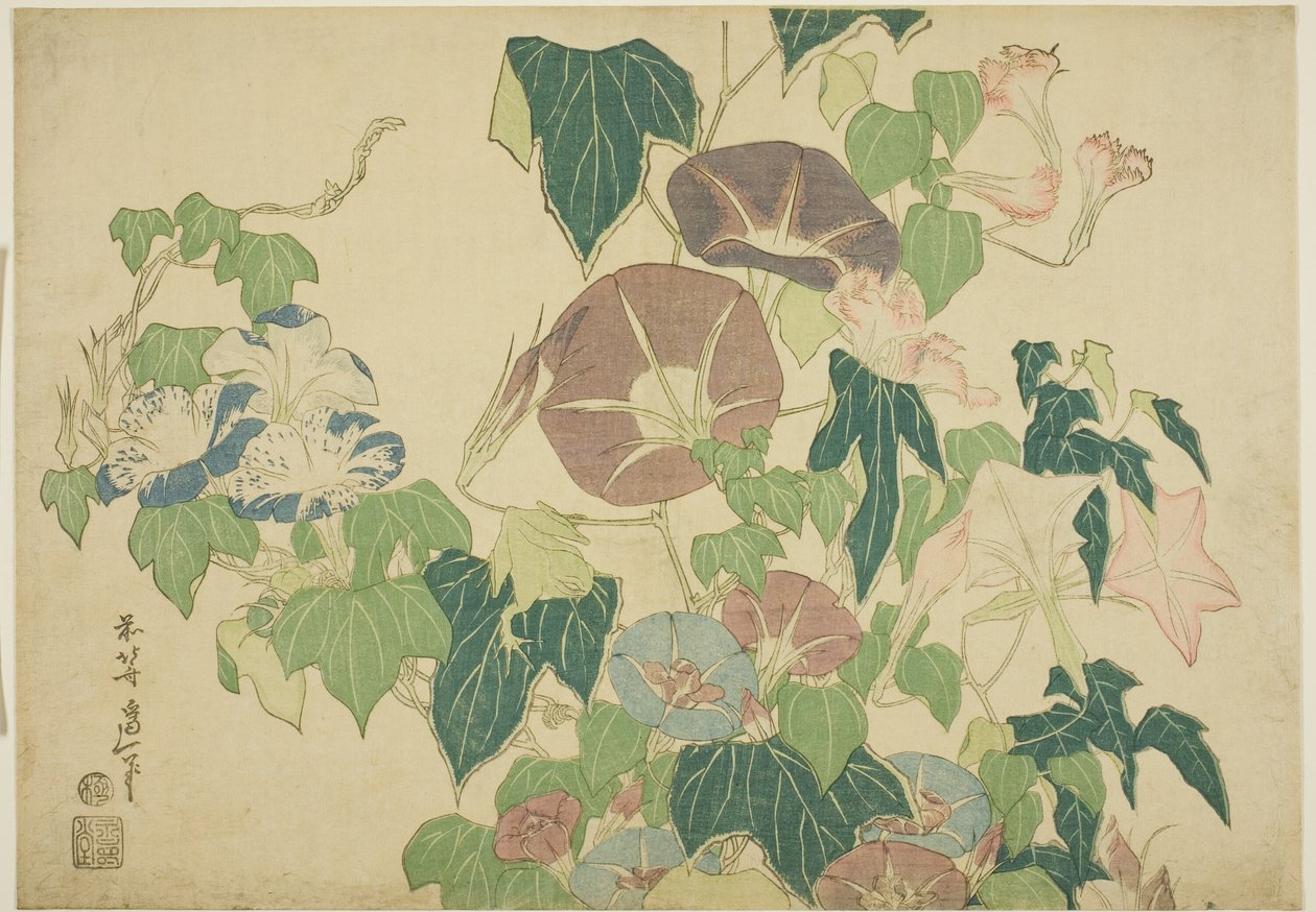 Morning Glories és Tree-Frog, a nagy virágok cím nélküli sorozatából alkotó: Katsushika Hokusai