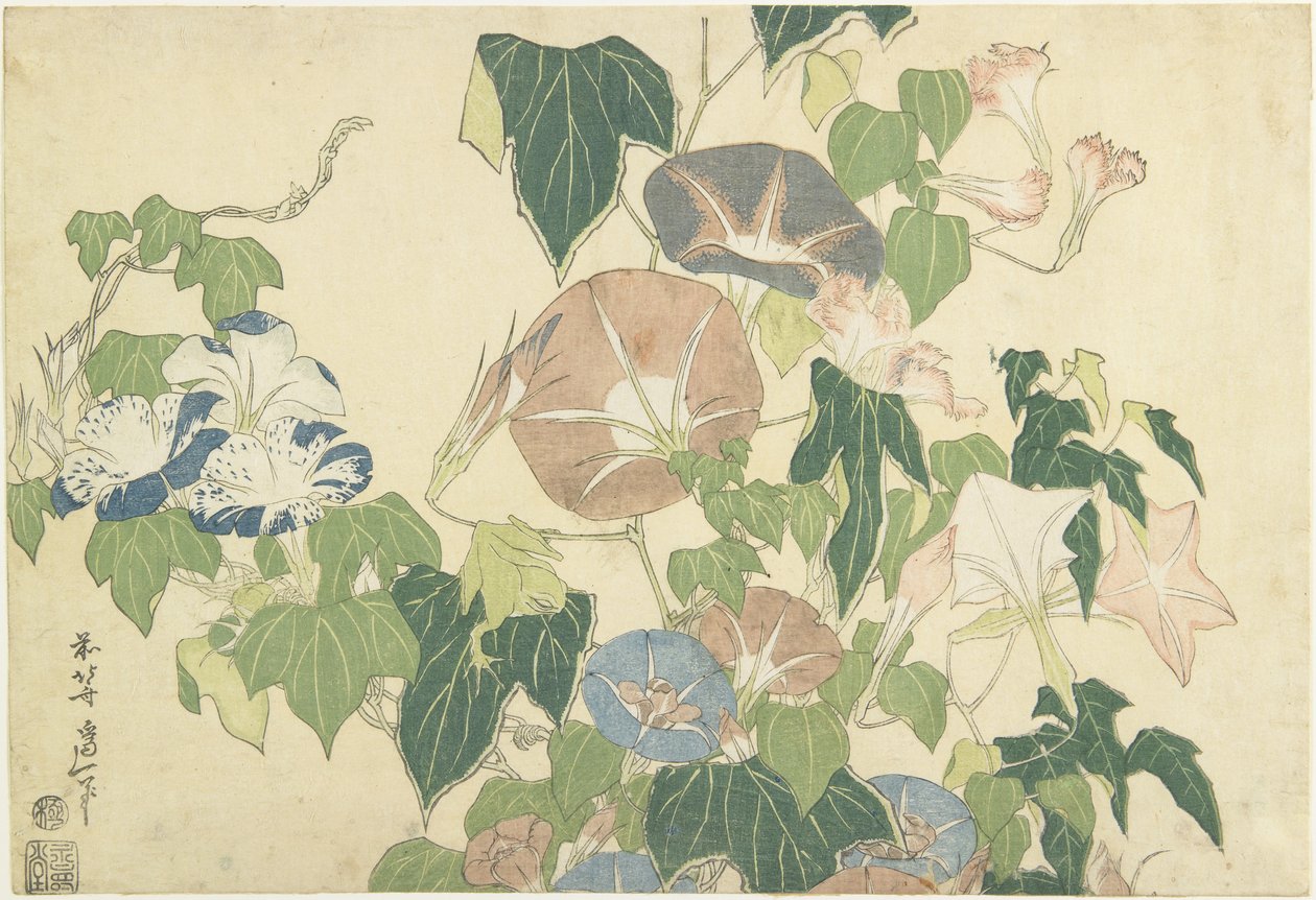 Morning Glories és Tree Frog, a Large Flowers néven ismert, cím nélküli sorozatból, 1833-34 körül (színes fatömbnyomat) alkotó: Katsushika Hokusai