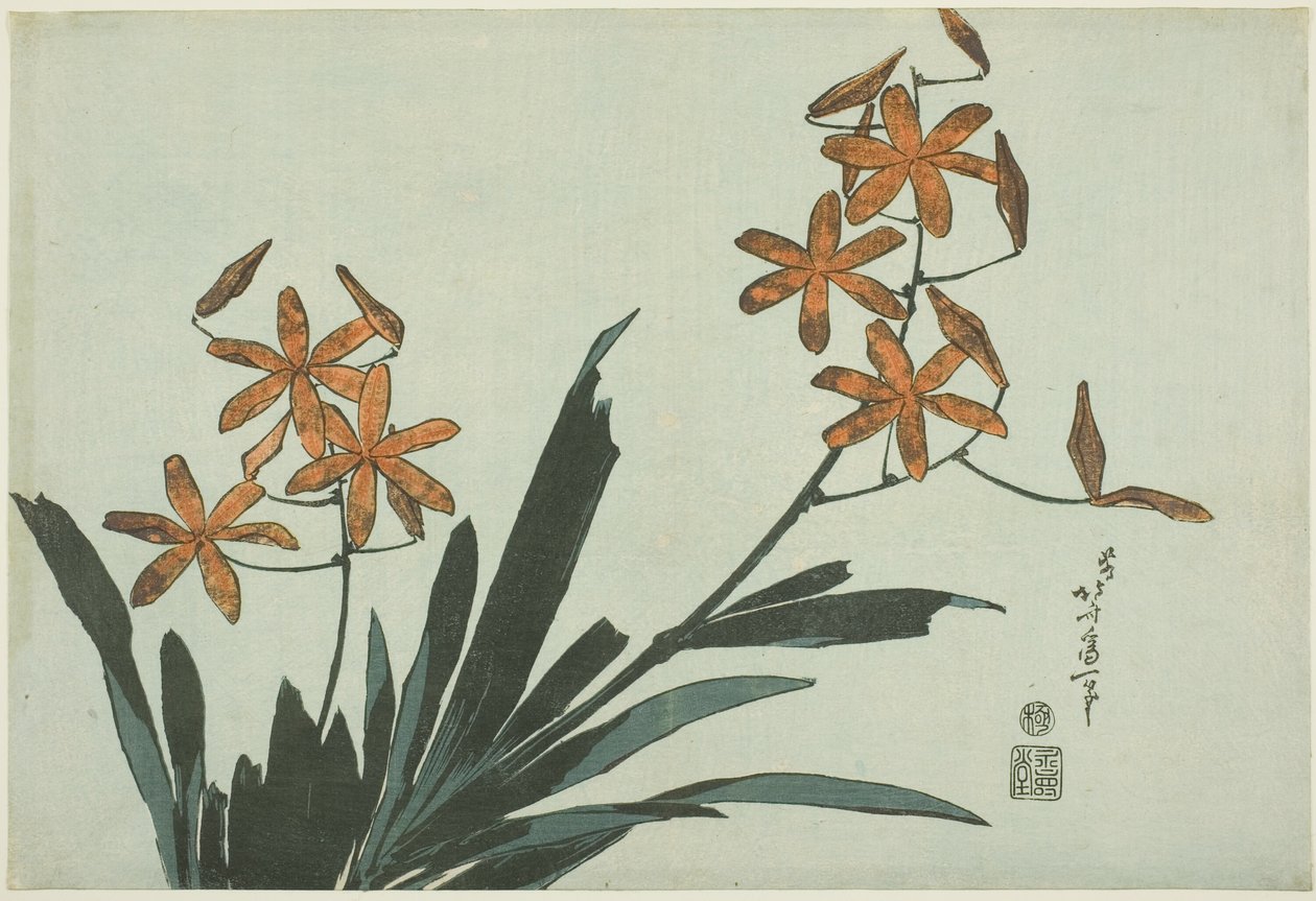 Narancssárga orchideák, egy névtelen virágsorozatból alkotó: Katsushika Hokusai