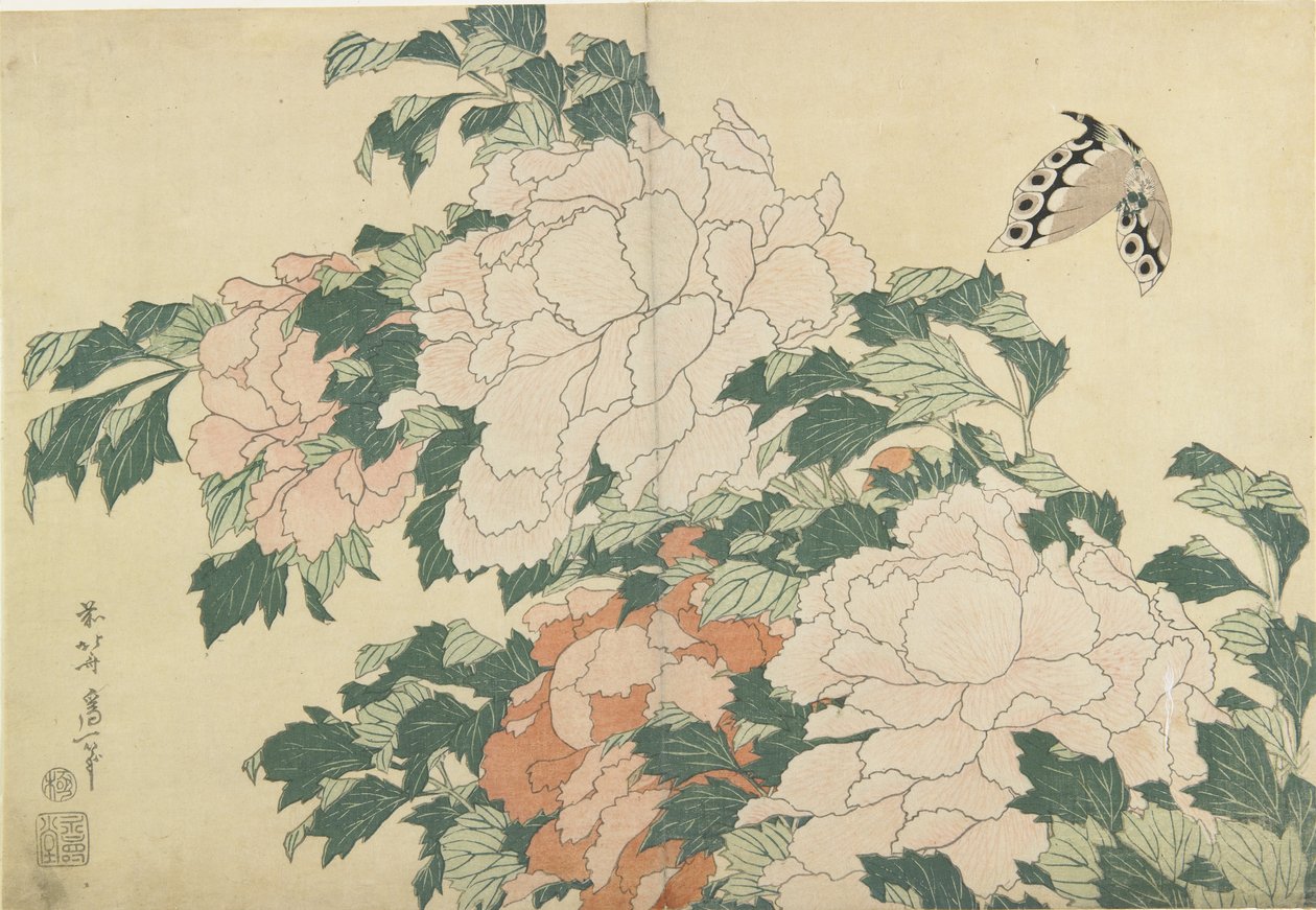 Pünkösdi rózsa és pillangó, c. 1830-1831 alkotó: Katsushika Hokusai