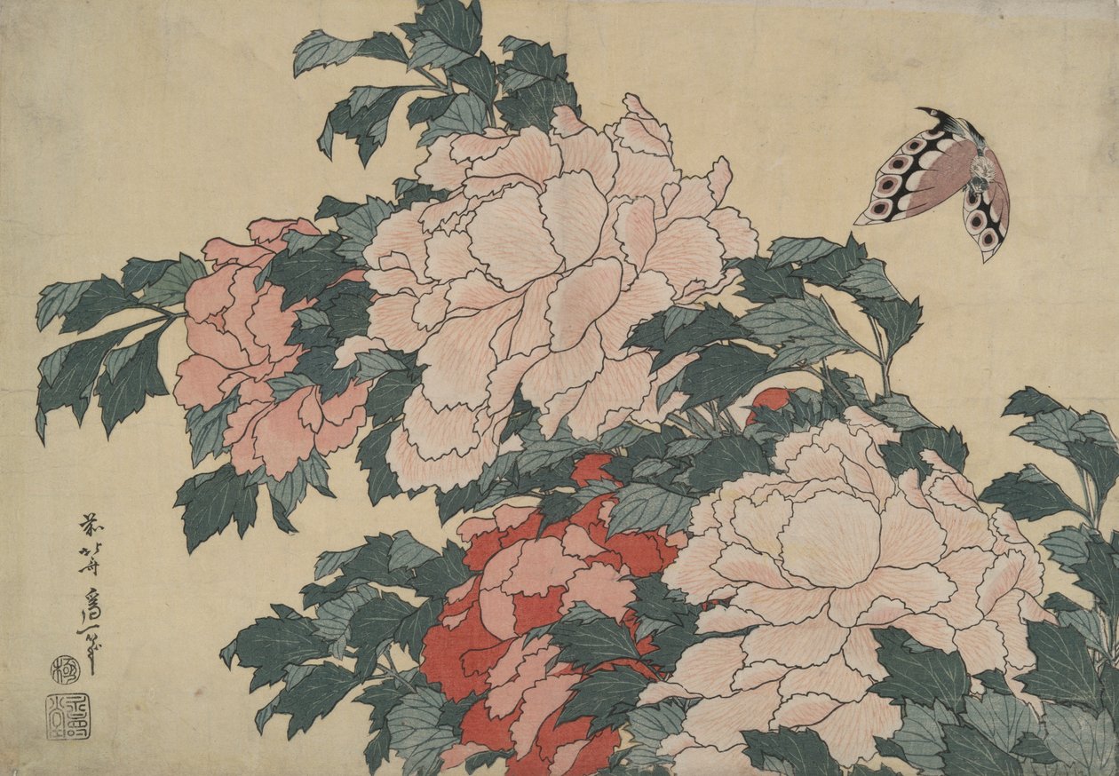 Pünkösdi rózsa és pillangó, a Large Flowers című, cím nélküli sorozatból alkotó: Katsushika Hokusai