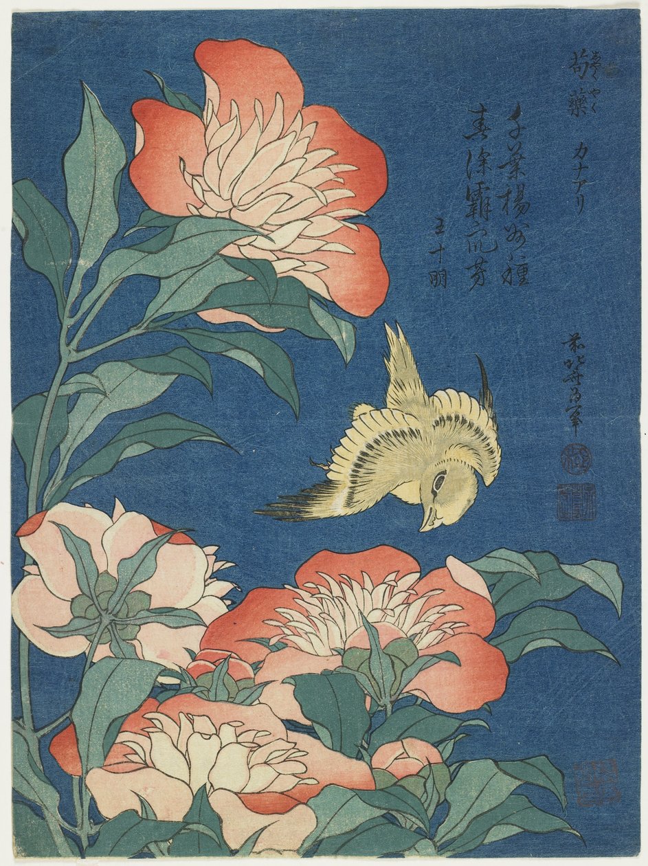 Pünkösdi rózsa és kanári, c. 1833 alkotó: Katsushika Hokusai