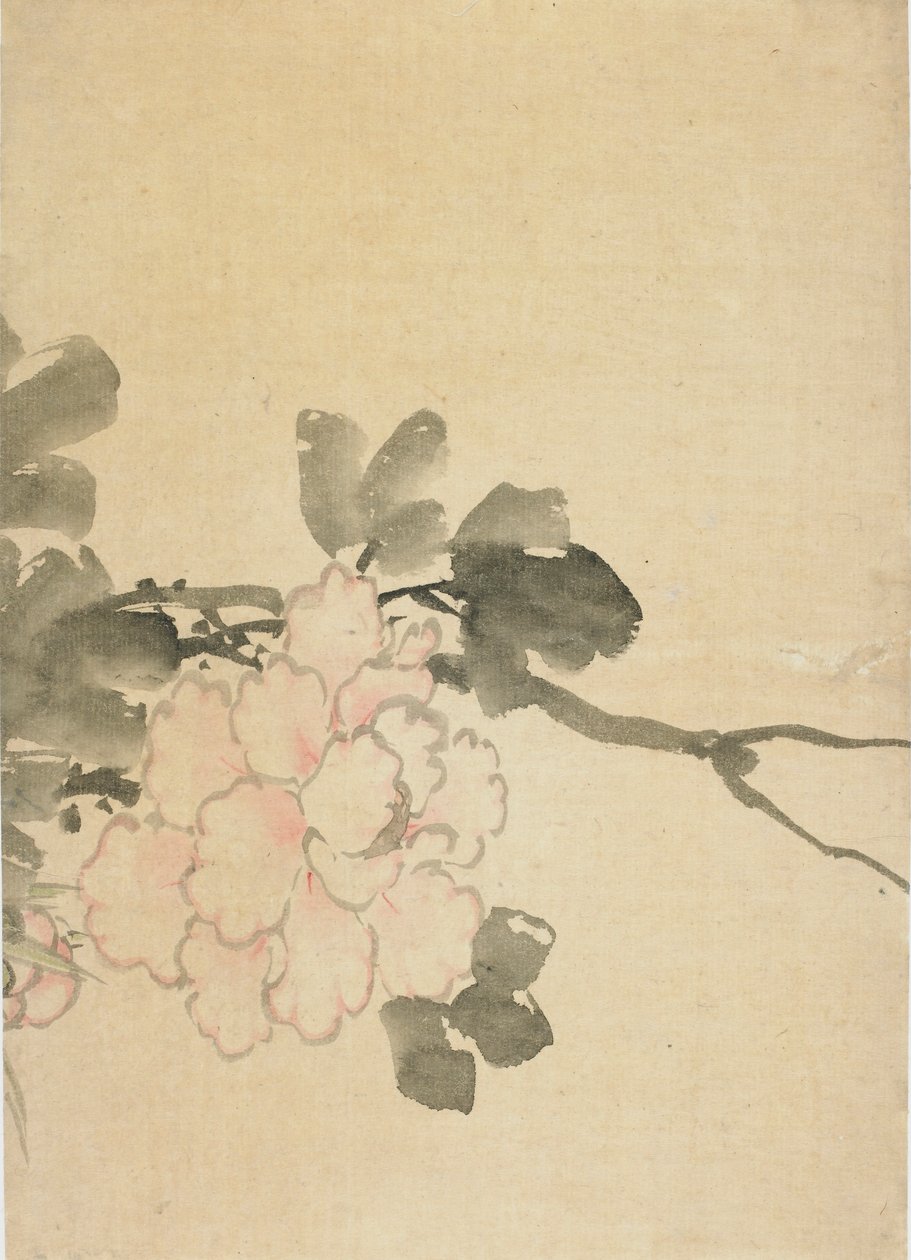 Bazsarózsa, 18. század vége-19. század eleje. alkotó: Katsushika Hokusai