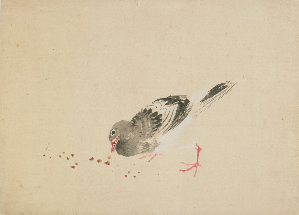 Galamb, 18. század vége-19. század eleje. alkotó: Katsushika Hokusai