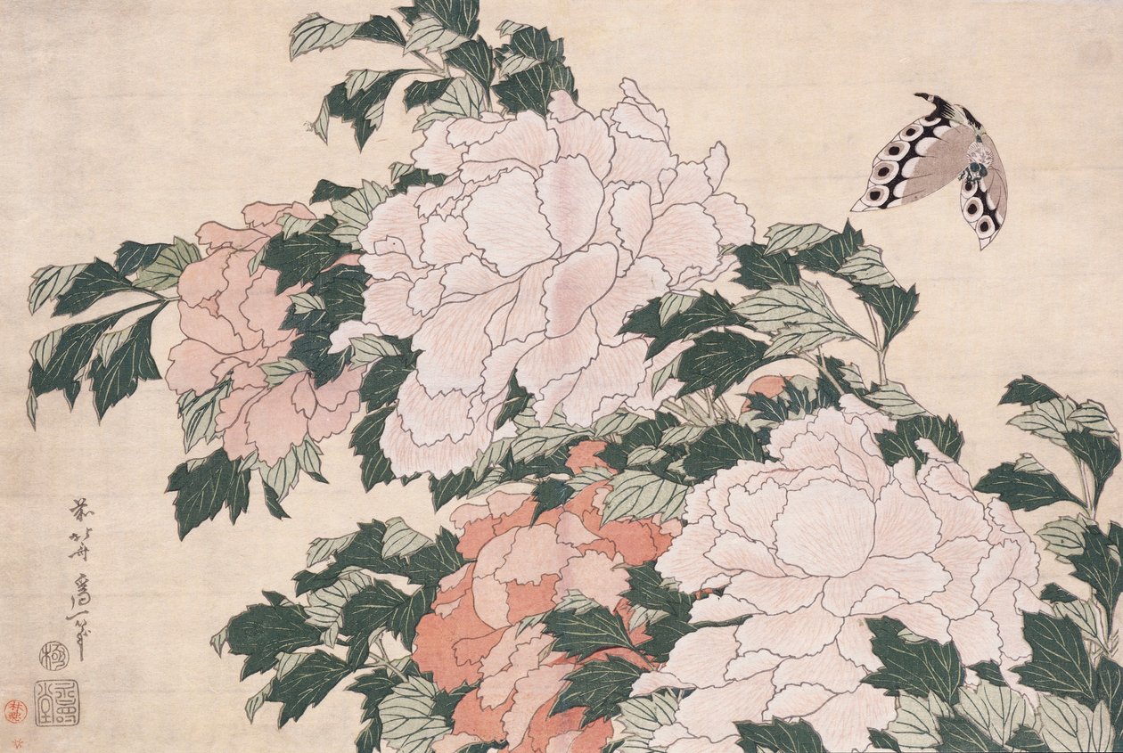 Rózsaszín és piros pünkösdi rózsa szélben és pillangóban balra fújva alkotó: Katsushika Hokusai