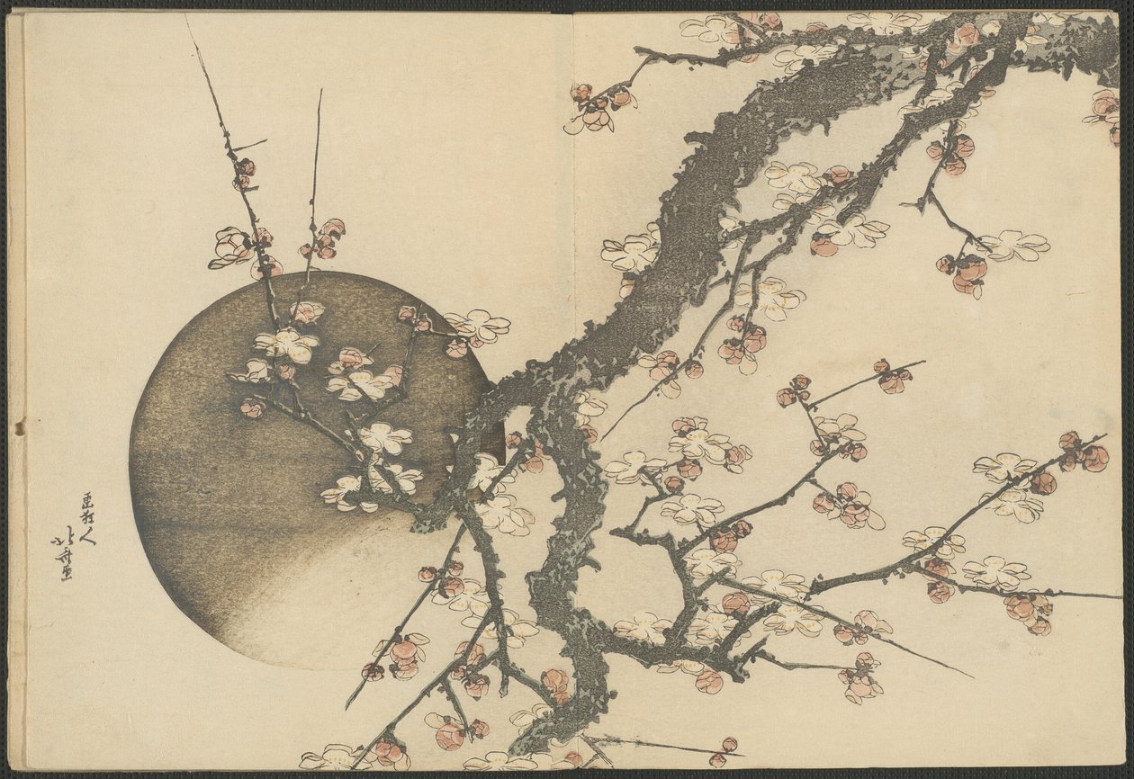 Szilvavirág és a Hold a Fuji-hegy tavasszal (Haru no Fuji) című könyvből. alkotó: Katsushika Hokusai