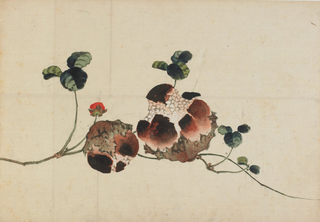 Gránátalma, 18. század vége – 19. század eleje. alkotó: Katsushika Hokusai