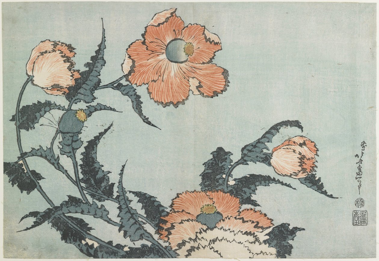 Pipacsok, c. 1832 alkotó: Katsushika Hokusai