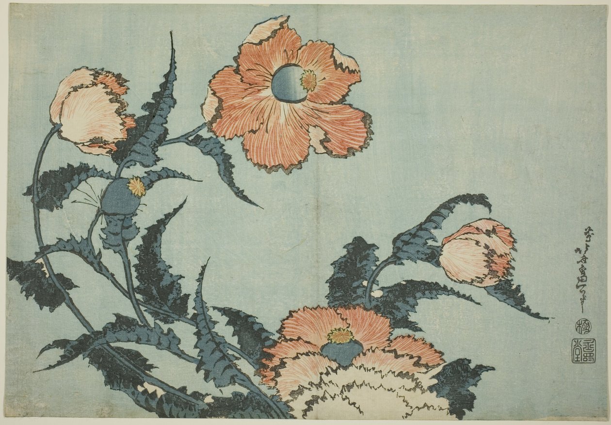 Pipacsok, egy névtelen virágsorozatból alkotó: Katsushika Hokusai