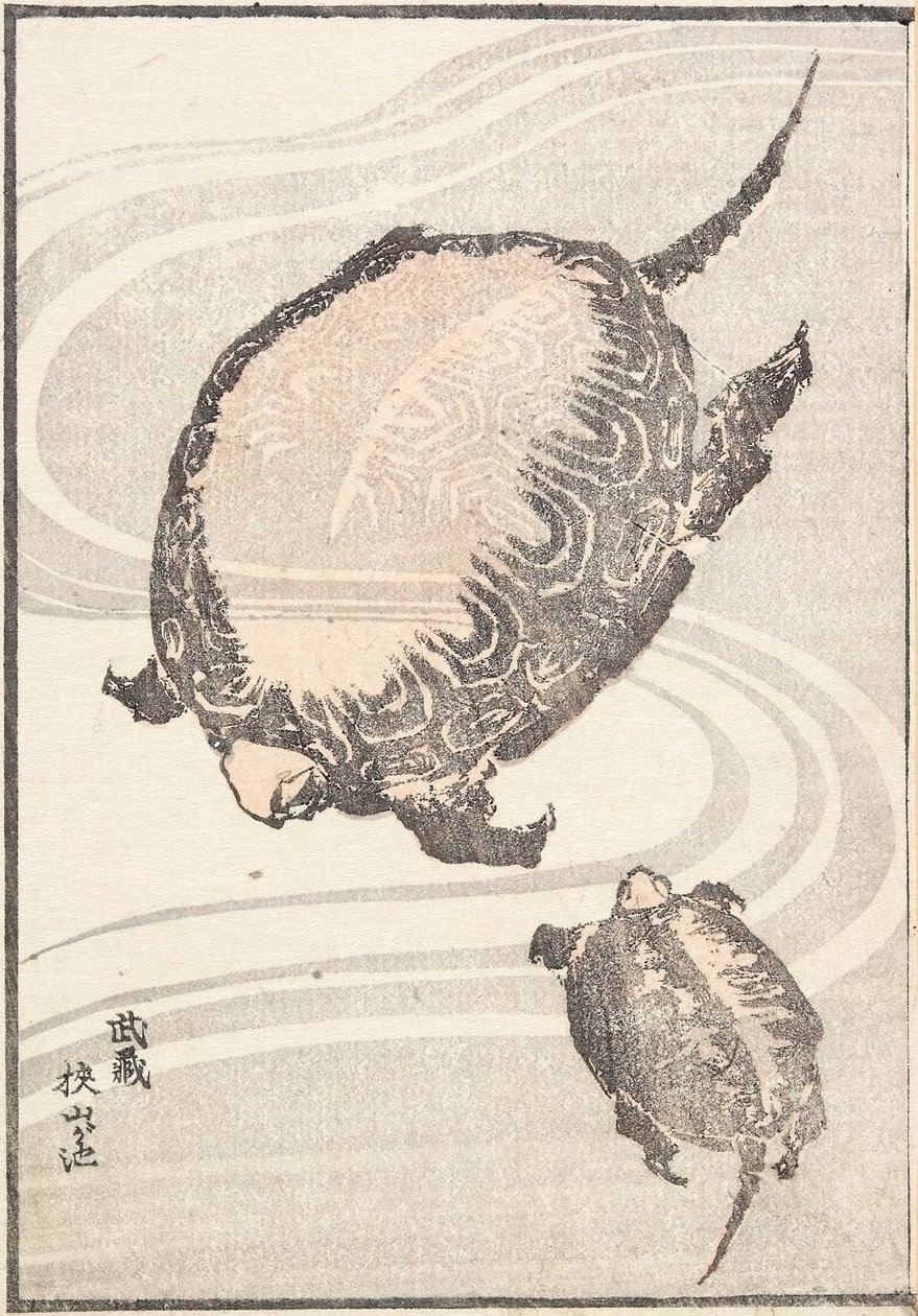 A Sayama-ga-ike-tó Musashi tartományban alkotó: Katsushika Hokusai