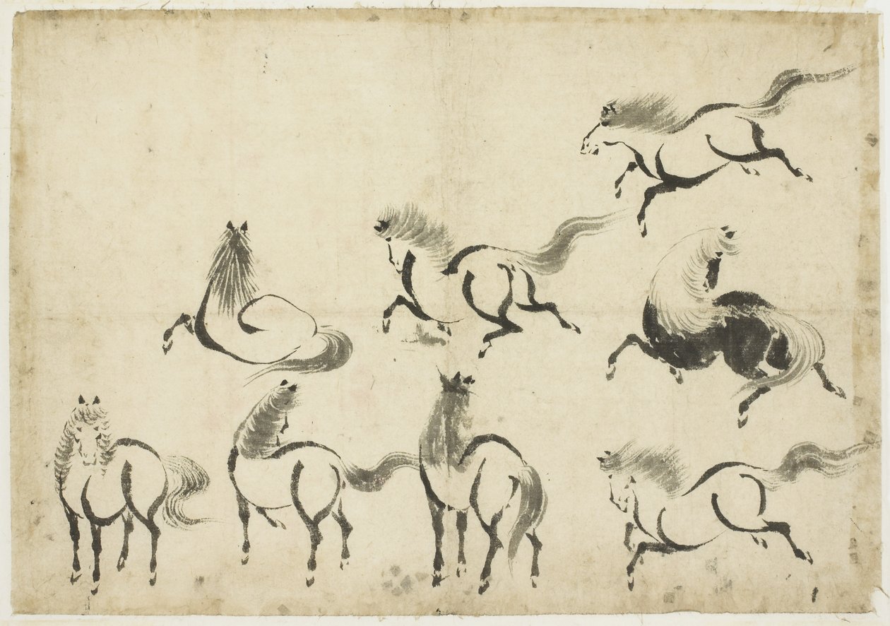 Studies of Horses, 1815-1849 körül (tinta papíron) alkotó: Katsushika Hokusai