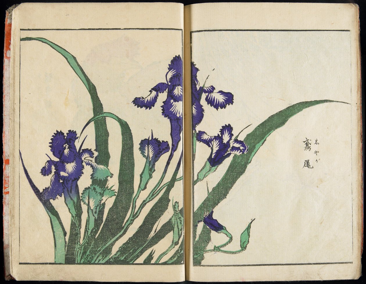 A szellem átadása és a dolgok formájának feltárása: Hokusai képeinek kertje, 1. kötet (teljes) alkotó: Katsushika Hokusai