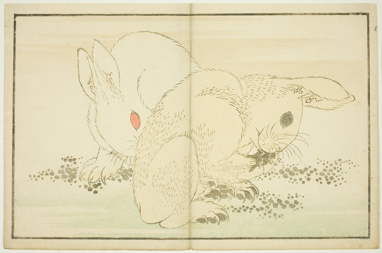 Két nyúl, Hokusai valósághű festményeinek képeskönyvéből (Hokusai shashin gafu) alkotó: Katsushika Hokusai
