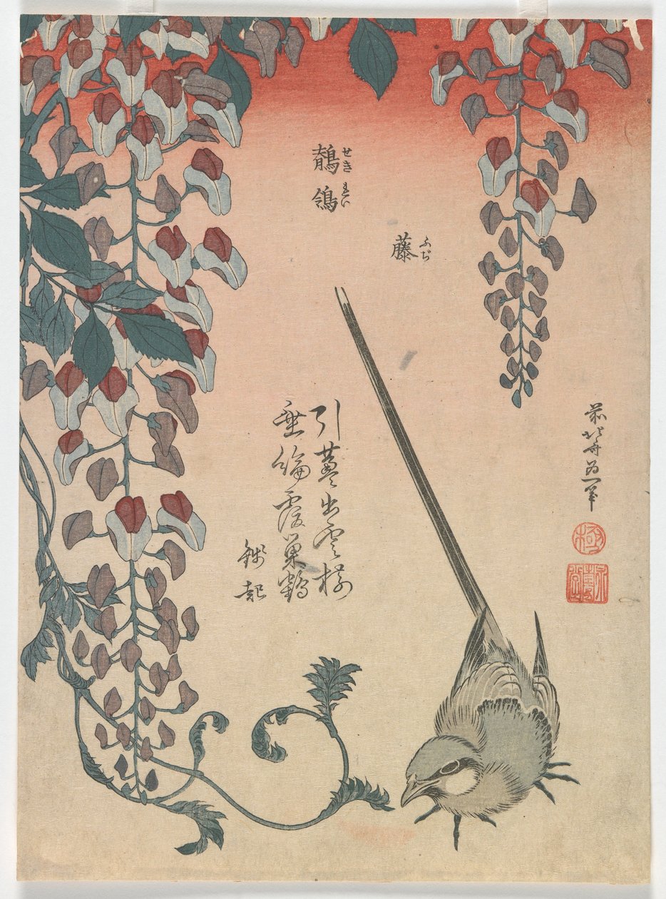 Patyolat és golgotavirág, Edo-korszak, 1834 (színes fametszet) alkotó: Katsushika Hokusai