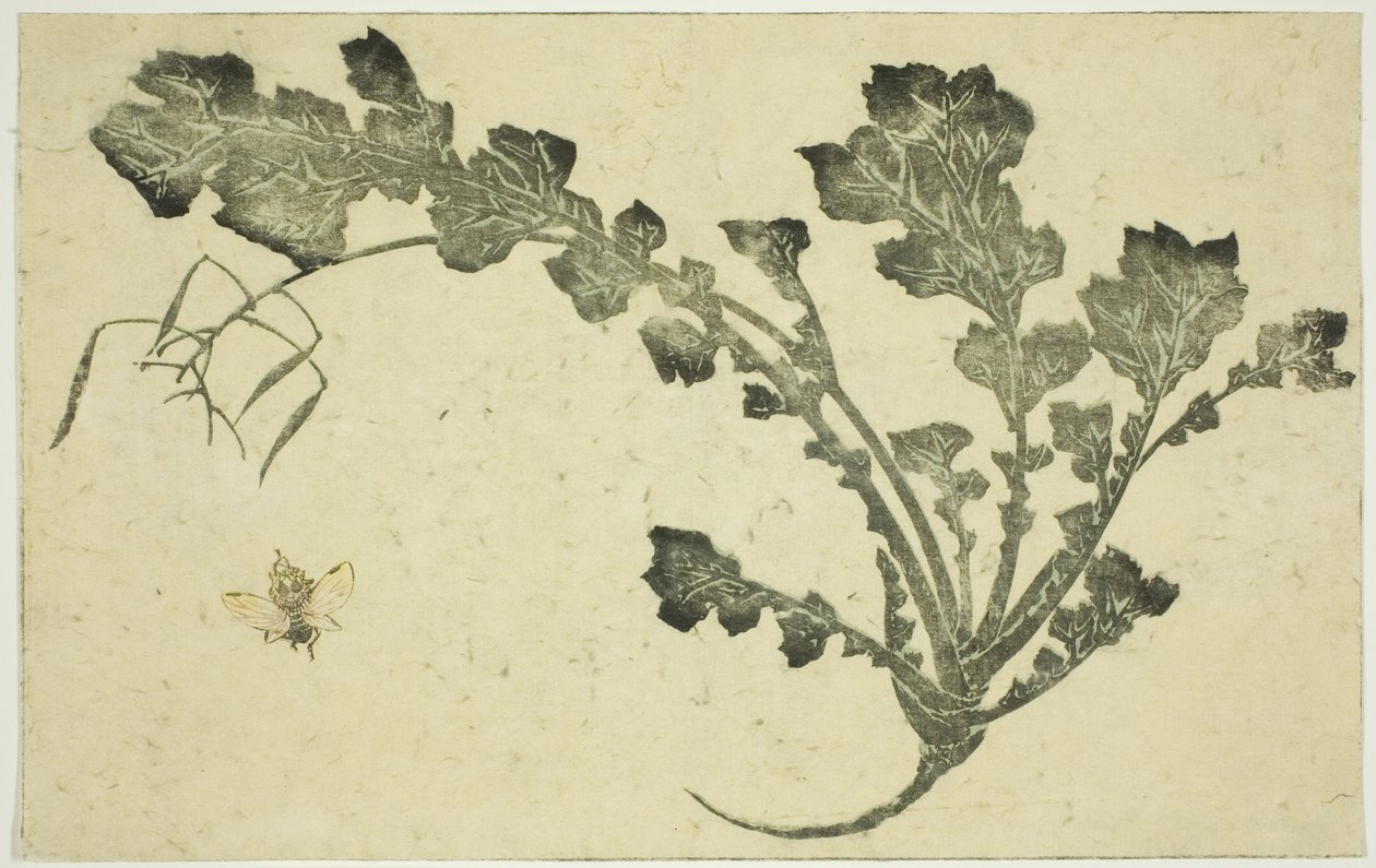 Darázs- és fehérrépaszár, a "Hokusai valósághű festmények képeskönyvéből (Hokusai shashin gafu)" alkotó: Katsushika Hokusai