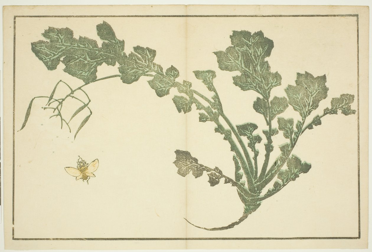 Darázs- és fehérrépaszár, a "Hokusai valósághű festmények képeskönyvéből (Hokusai shashin gafu)" alkotó: Katsushika Hokusai
