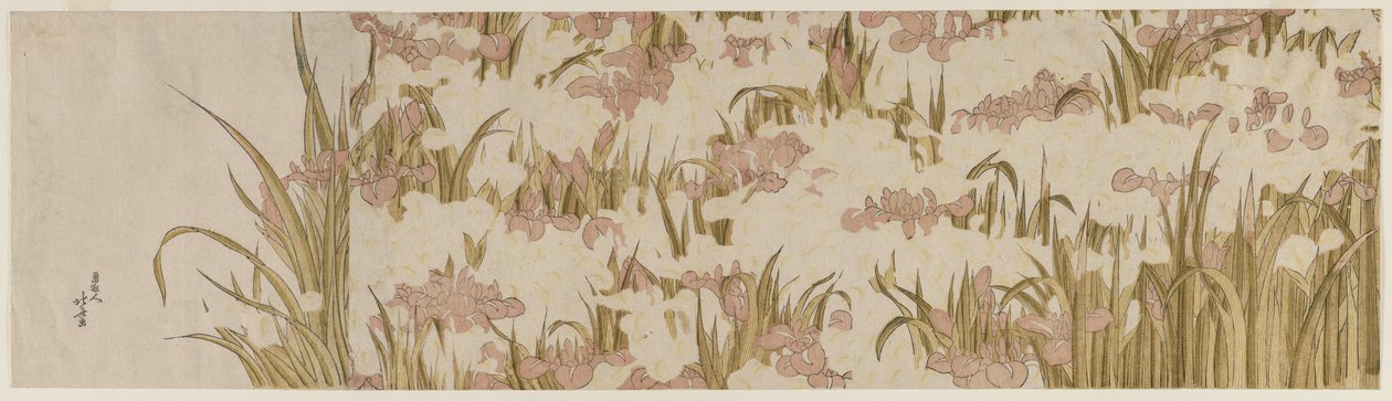 Fehér és lila íriszek, 1800-as évek eleje. alkotó: Katsushika Hokusai